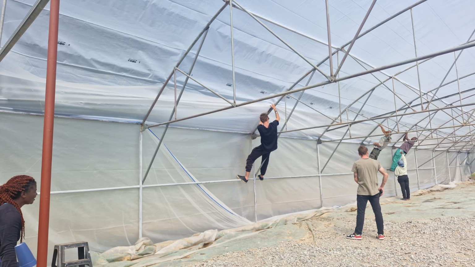 KGC greenhouse