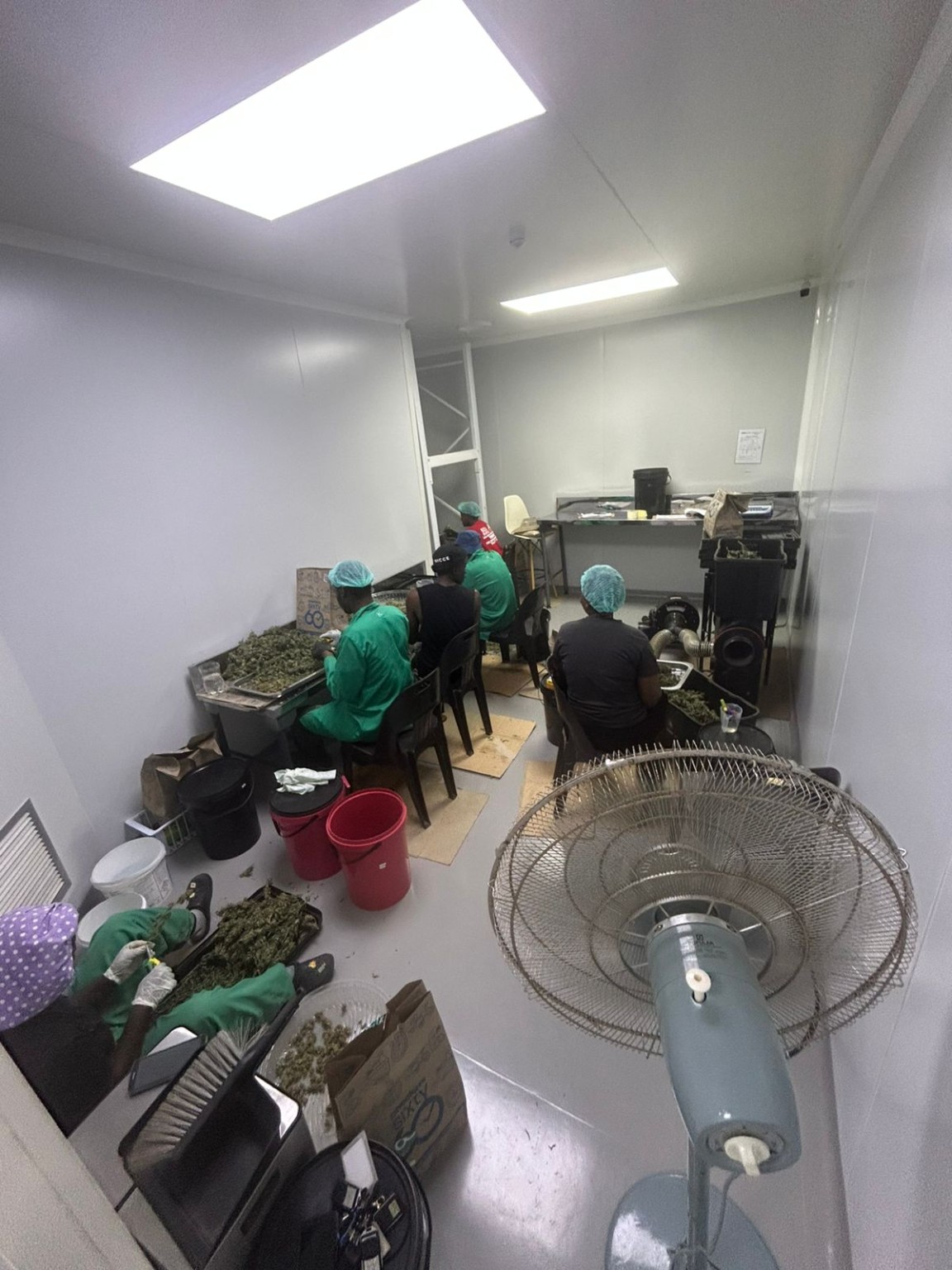 KGC post-harvest room